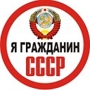 политика