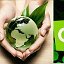 Экомаркет Greenwey Global
