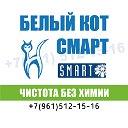 Белый кот SMART Россия (Краснодар)