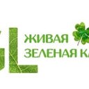 GLГрин Лайт, 🌱GO Грин Ойл🌱Живая Зелёная Клетка🌱