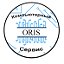 Компьютерный сервис ORIS