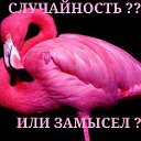 СЛУЧАЙНОСТЬ ИЛИ ЗАМЫСЕЛ?