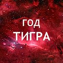 Факты о родившихся в год Тигра