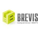 Агентство создания сайтов «BREVIS»