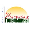 Виноград Гомельщины