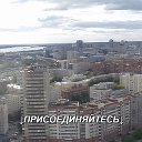 Новосибирск Объявления Отдам Даром Обменяю