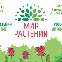 Мир Растений33