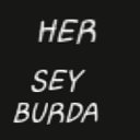 HER SEY BURDA