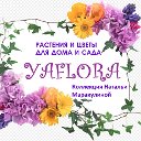 YaFlora - цветы и растения для дома и сада