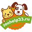 "Зоохелп33"г.Владимир помощь бездомным животным