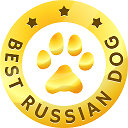 Лучшие собаки России