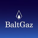 Газовые колонки котлы BaltGaz Нева Vektor