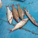 Рыбалка и охота в Астрахани