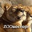 ZOOвосторг