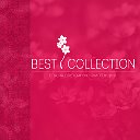 Best Collection