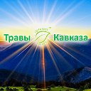"Травы Кавказа" - лечебные травы и сборы
