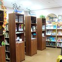 Сельская библиотека п. Дорожный