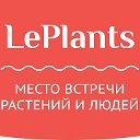 LePlants.ru - Место встречи растений и людей