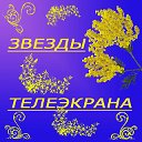 ЗВЕЗДЫ ТЕЛЕЭКРАНА