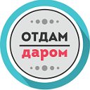 Отдам даром или за вкусняшку в Туле