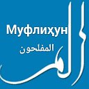 المفلحون تاجیکی Муфлиҳун тоҷикӣ