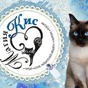 Клуб любителей кошек "МагияКис" г. Курган