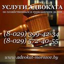 Адвокат в Минске и Беларуси
