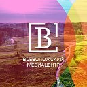 Всеволожский медиацентр В1