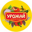 УРОЖАЙ ЛЮБИМЫХ ПРОДУКТОВ™