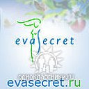 Evasecret,магазин нижнего белья.