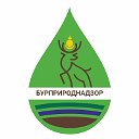 Бурприроднадзор