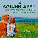 БФ помощи животным "Лучший друг" Качканар