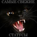 ♚САМЫЕ СВЕЖИЕ СТАТУСЫ♚