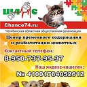 Центр помощи животным "Шанс" г.Челябинск