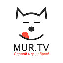 MUR TV