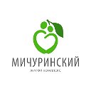 ЖК Мичуринский. РКС Девелопмент