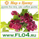 Мир в Цвету - flo4.ru