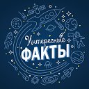 Интересные Факты