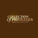 Collection Of Privileges