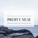 PROFI V MIM