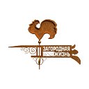 телеканал Загородная Жизнь