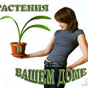 Растения в вашем доме