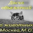 Найди меня.О животных. Москва.МО.