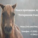 Поиск пропавших лошадей "Потерянное счастье"