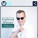 Владимир Лёвкин