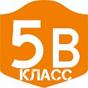 5В класс 16 школа г. Коломна