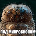 Под микроскопом