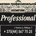 Магазин Professional-Профессионал (пр. Победы,7)