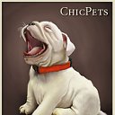 Chic Pets. Для кошек и собак.