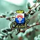 Заметки и Объявления города Серов